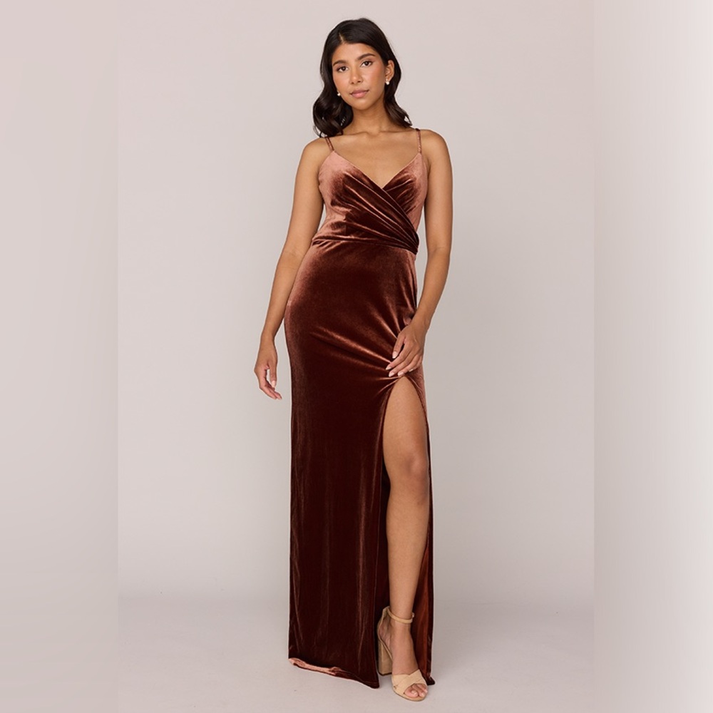 Revelry Rava Velvet Dress - Picture 6 of 8